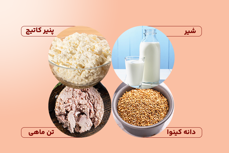 غذاهای پروتئین دار؛ شیر، پنیر کاتیج، دانه کینوا و تن ماهی